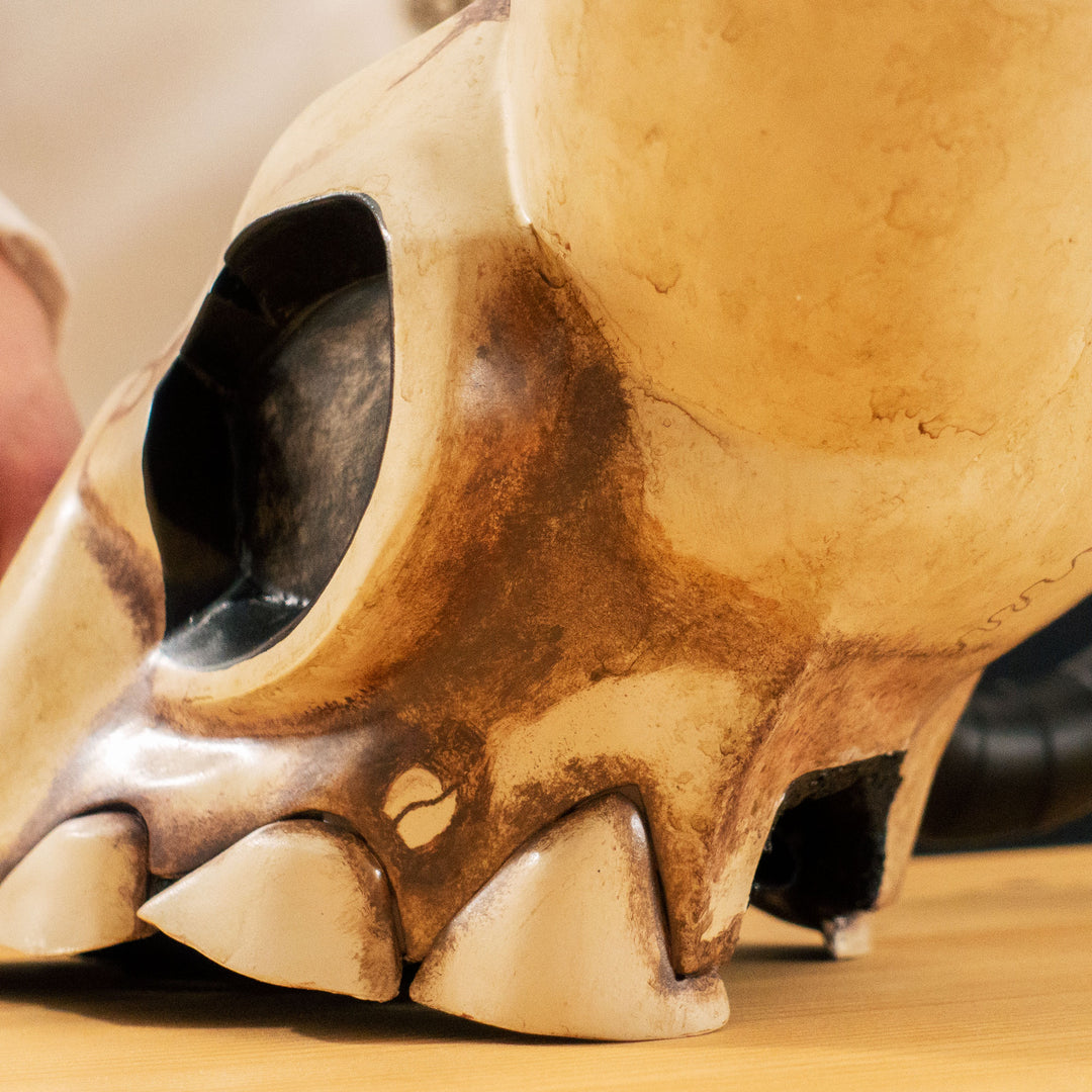 FOOLS! The Merasmus' Hat (Skull Topper too!) has arrived! 1:1 replica for your TF2 Merasmus cosplay to wear and display onto your own head or display shelf!