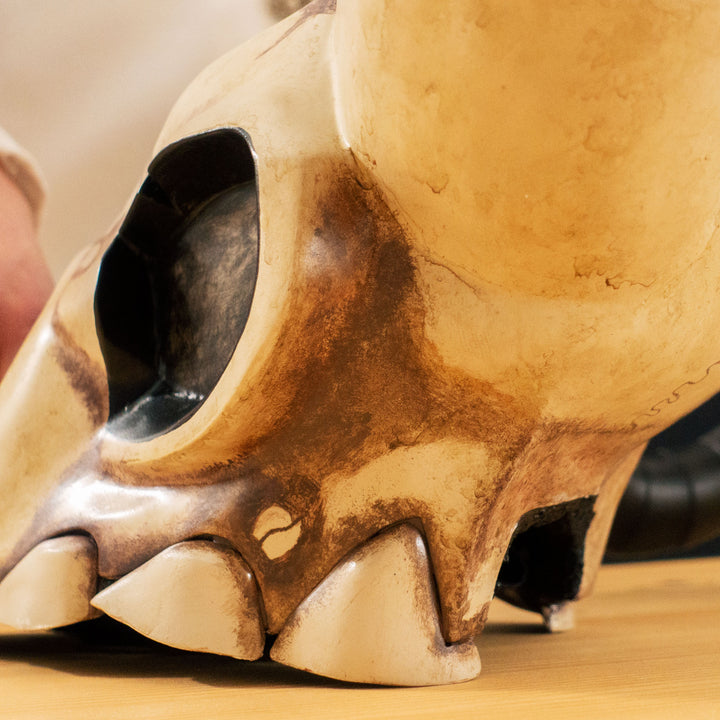 FOOLS! The Merasmus' Hat (Skull Topper too!) has arrived! 1:1 replica for your TF2 Merasmus cosplay to wear and display onto your own head or display shelf!