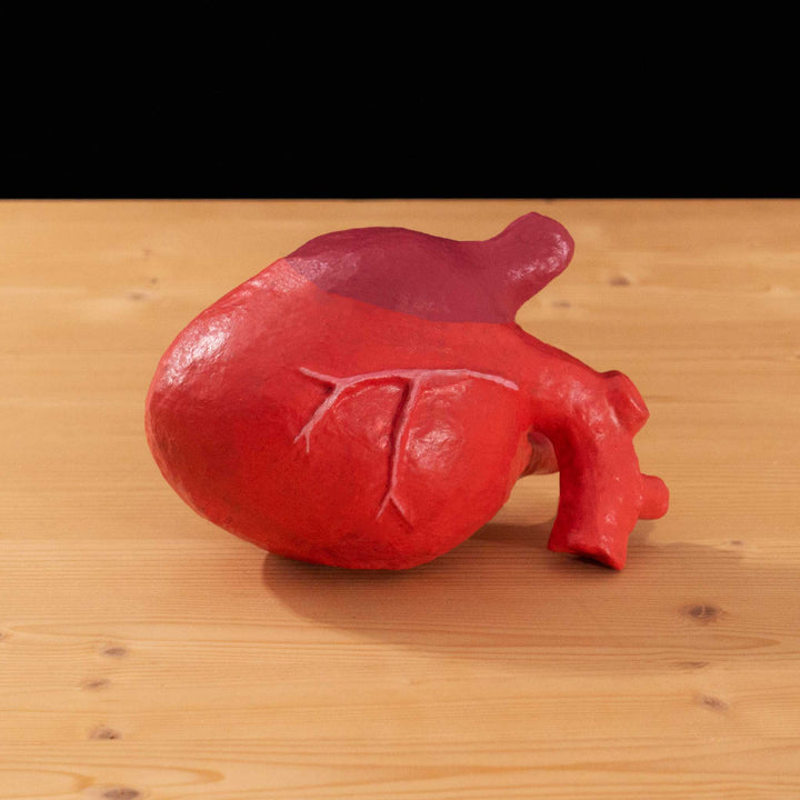 A tf2 Heavy's Heart Latex cosplay prop made for Meet the Real Medic 