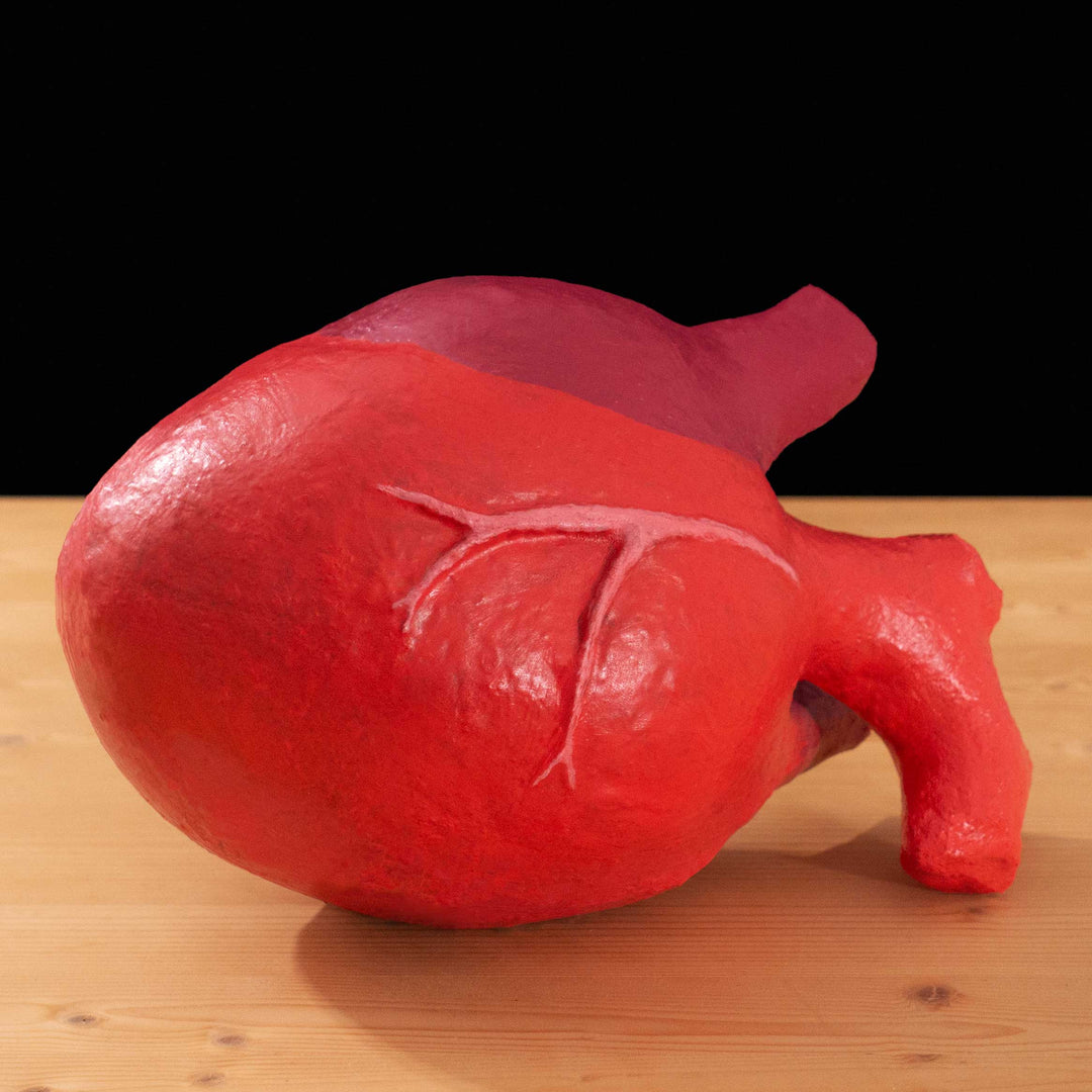 A tf2 Megababoon Heart cosplay prop featured in meet the real medic made in Latex and hand painted