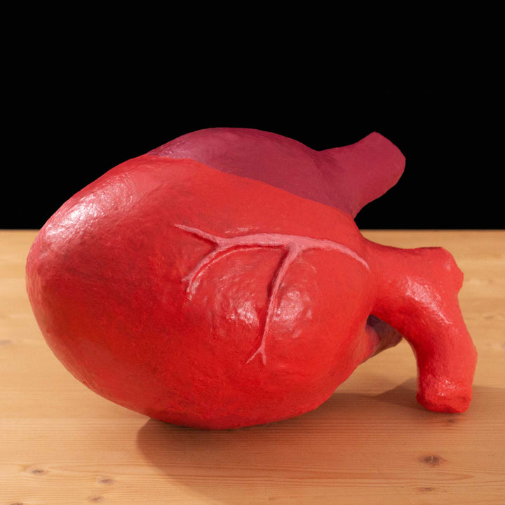 A tf2 Megababoon Heart cosplay prop featured in meet the real medic made in Latex and hand painted