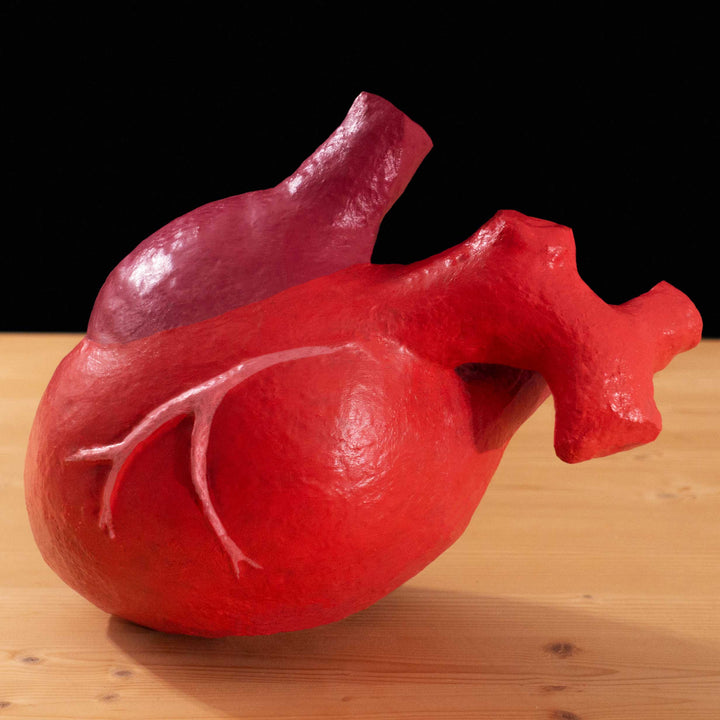 A tf2 Megababoon Heart cosplay prop featured in meet the real medic made in Latex and hand painted