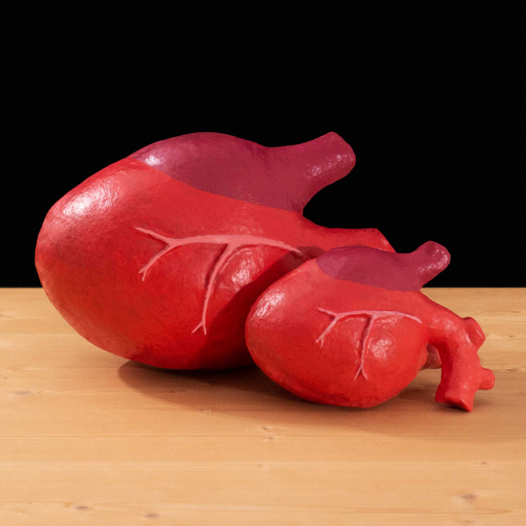 A tf2 Megababoon and Heavy Heart cosplay prop featured in meet the real medic made in Latex and hand painted