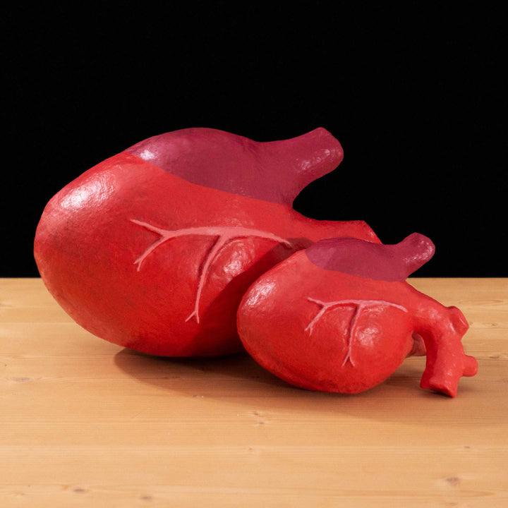 A tf2 Megababoon and Heavy Heart cosplay prop featured in meet the real medic made in Latex and hand painted